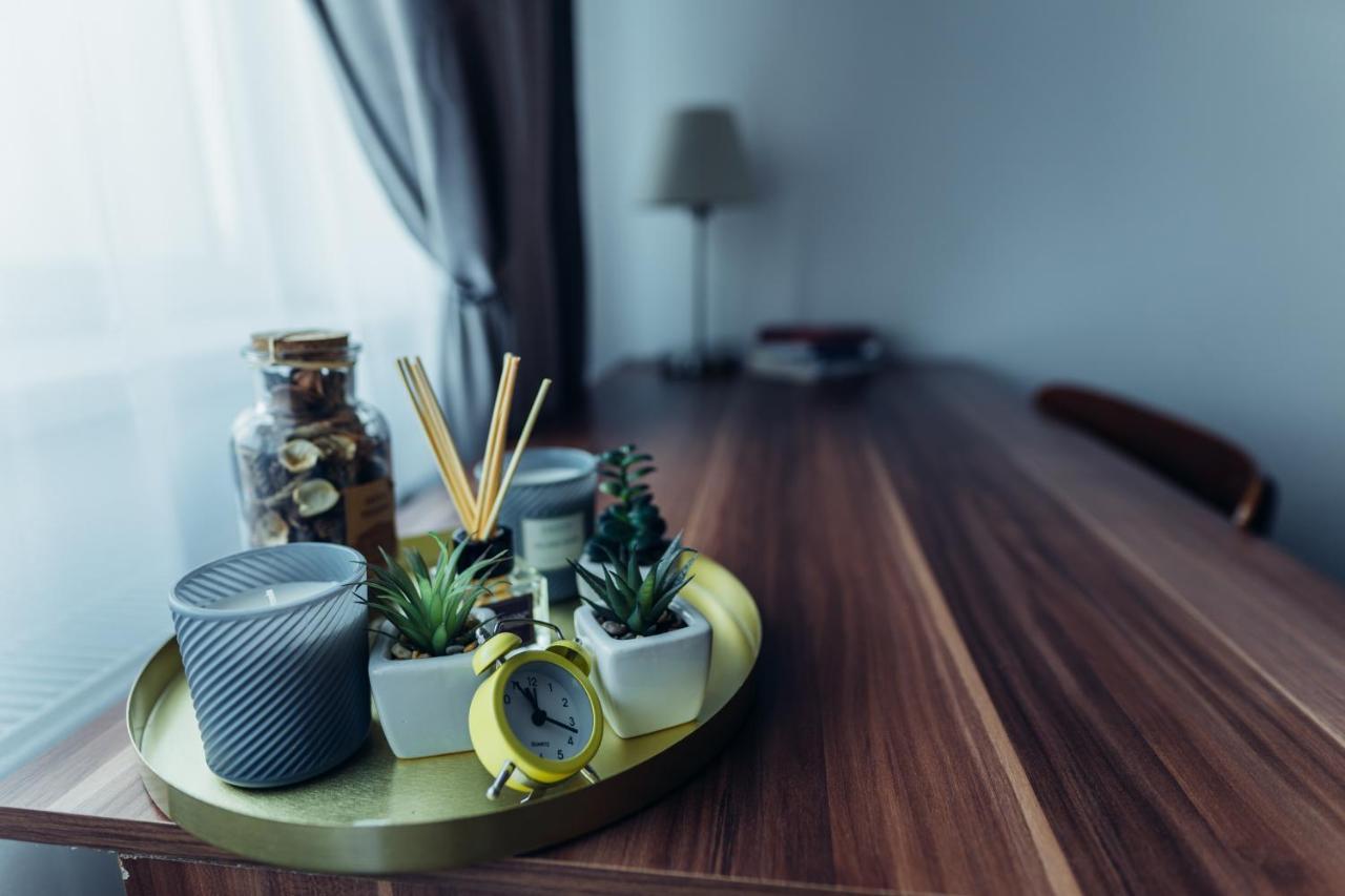 Thome Hoia Studio 1Bedroom Cluj-Napoca Ngoại thất bức ảnh